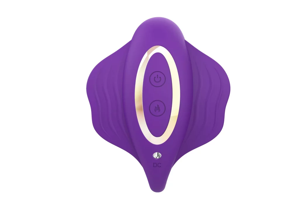 Couple Wearable Vibrator